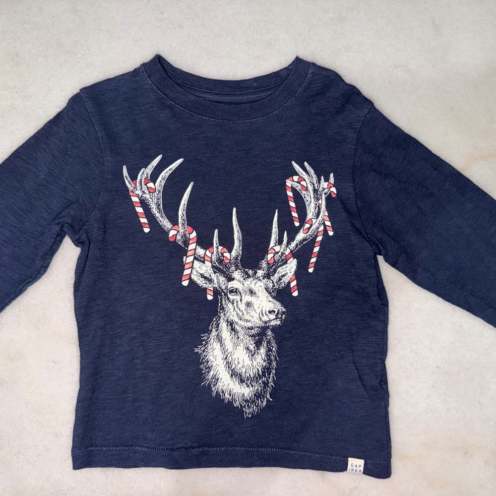 Baby Gap Boys 4t long sleeve shirt